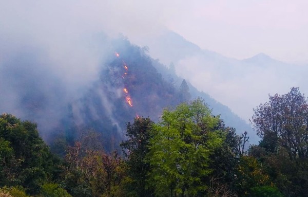 वन पैदावार उपयोग नहुँदा डढेलोको जोखिम वृद्धि      